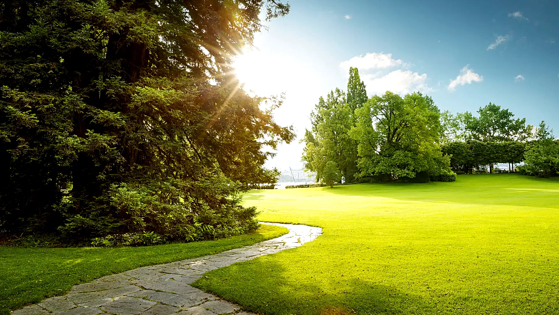 Un parco con un prato al sole, grandi alberi e un sentiero di pietra