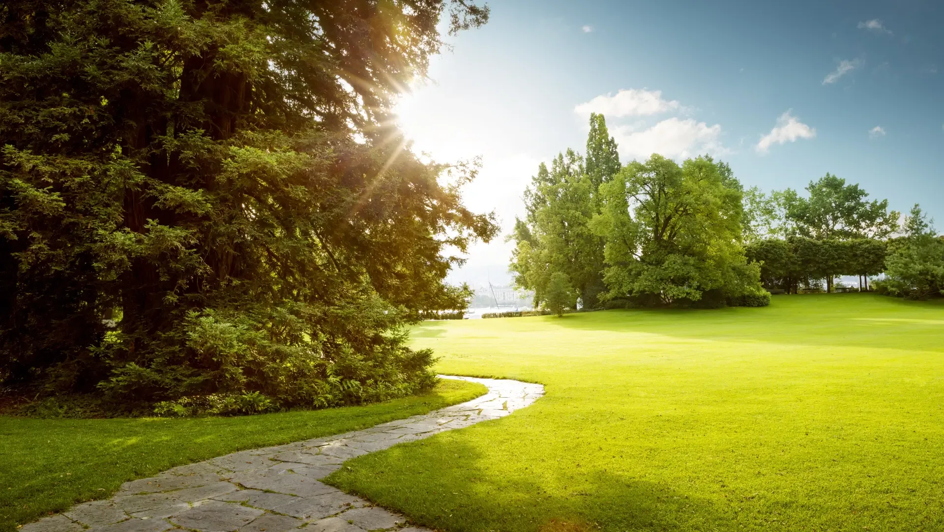 Un parco con un prato al sole, grandi alberi e un sentiero di pietra